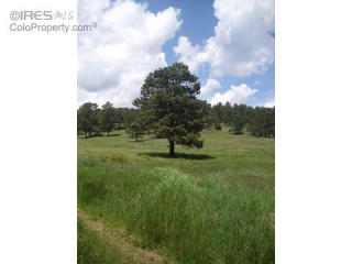 273 Ridge Rd, Ward, CO 80481-9519