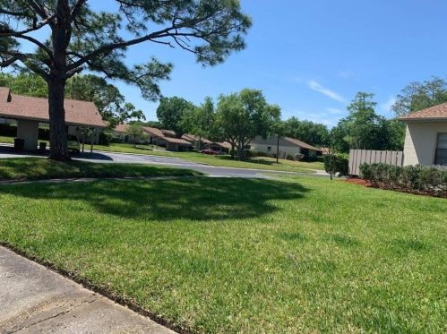 160 Evelyn Ct, Oldsmar FL  34677-2381 exterior