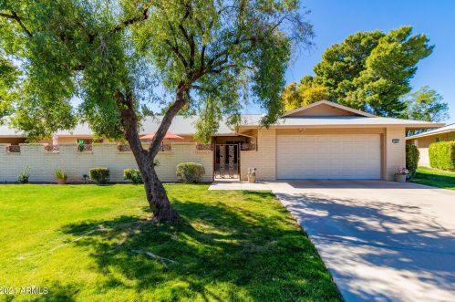 9881 Spanish Moss Ct, Sun City, AZ 85373-1769