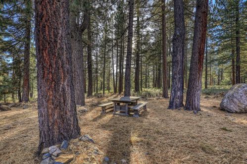 10166 Olympic Blvd, Truckee CA 96161-1708 exterior