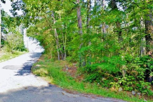 15 Cottonwood Ln, Huntsville, TX 77320-0213