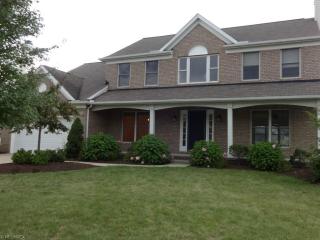 10371 Andover Dr, Twinsburg, OH 44087-3334