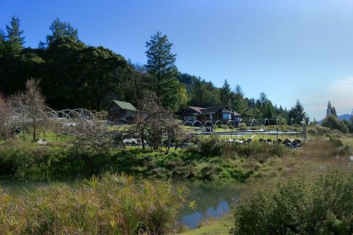 48000 Mattole Rd, Honeydew, CA 95545