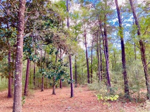 194 Creekside Ln, Defuniak Springs FL  32433-4906 exterior