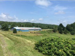 1939 Randolph Rd, Morrisville, VT 05661-8485