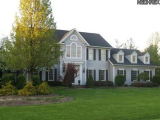 7615 Herrick Park Dr, Hudson, OH 44236-2301