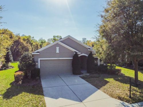 11156 Belle Hvn Dr, New Port Richey FL 34654-4491 exterior