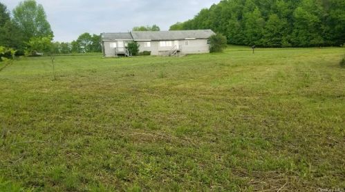 402 Menges Rd, Lew Beach, NY 12758-7507
