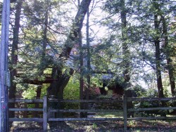 90 Warren St, Newton, MA 02459-2338