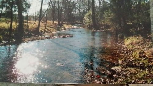 4358 Delina Rd, Cornersville, TN 37047-5229