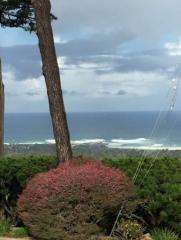 56 Skyline Crst, Monterey CA  93940-4111 exterior