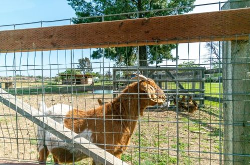 105 Daffodil Dr, Hollister CA  95023-3103 exterior