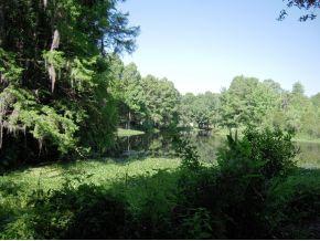 12802 Edgewater Dr, Dunnellon, FL 34433-2218