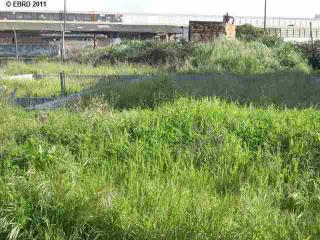 414 Willard Ave, Richmond, CA 94801-1948