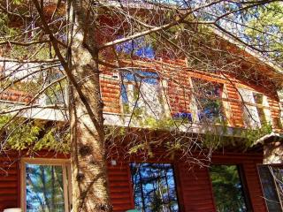 47033 Black Bear Beach Rd, Ponsford, MN 56575-9141