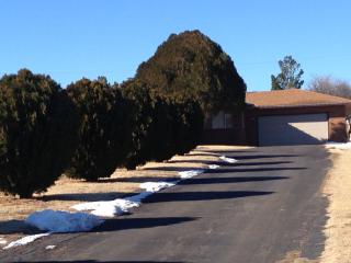 2313 5th St, Tucumcari, NM 88401-3830