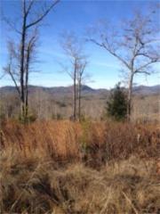 1300 New Stansbury Rd, Turtletown TN  37391-4633 exterior