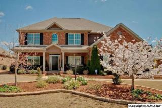 201 Danaher Ln, Madison AL  35757-7688 exterior