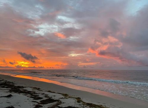 1673 Gulf Beach Dr, Saint George Island FL  32328-3107 exterior