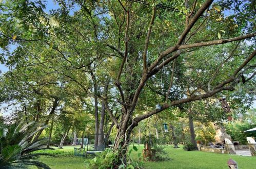 10487 Darby Loop, Conroe TX 77385-7407 exterior