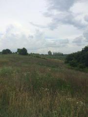 1000 Roy Walker Davis Rd, Lancaster, KY 40444-7487
