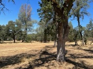 6321 Upper Palermo Rd, Oroville CA  95966-9017 exterior