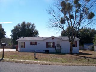10680 128th St, Belleview, FL 34420-5523