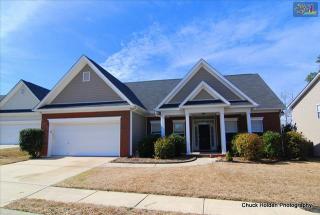 141 Fresh Spring Way, Lexington SC  29072-7152 exterior