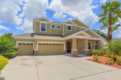 19426 Autumn Chase Ct, Land O Lakes, FL 34638-2653