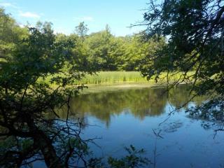 25779 Emerson Rd, Webster WI  54893-9139 exterior