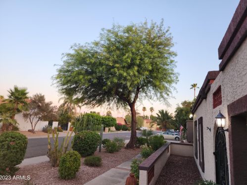 15026 48th Pl, Scottsdale AZ  85254-2276 exterior