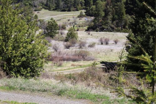 28901 Skyview Rd, Willits CA  95490-8420 exterior