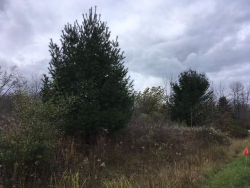 13511 Lakewood Dr, Thiensville, WI 53097-2424