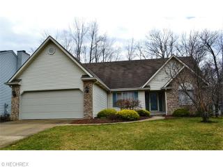 8525 Tanglewood Ln, Cleveland, OH 44129-6910