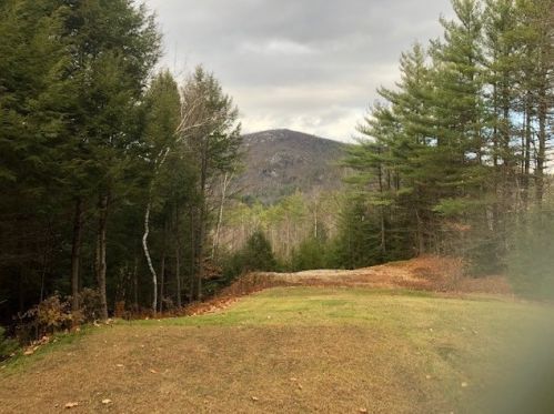 144 Halls Brook Rd, Ellsworth, NH 03266-4203