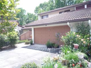 302 Clusterwood Dr, Howey In The Hills FL  34797-3106 exterior