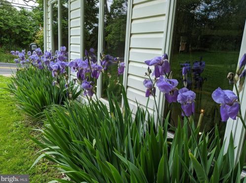 210 Hoernerstown Rd, Hummelstown PA  17036-9503 exterior