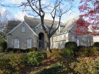 14027 Clarendon Point Ct, Huntersville, NC 28078-7449