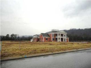 9198 Hartly Pl, College Dale, TN 37363-2903