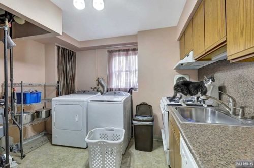 205 Larch Ave, Teaneck NJ  07666-2341 exterior