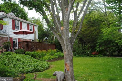 8201 Forest Hills Dr, Melrose Park PA  19027-1504 exterior