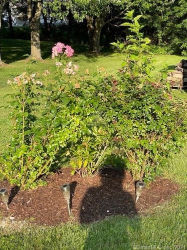 109 Longview Dr, Windsor CT  06095-3806 exterior