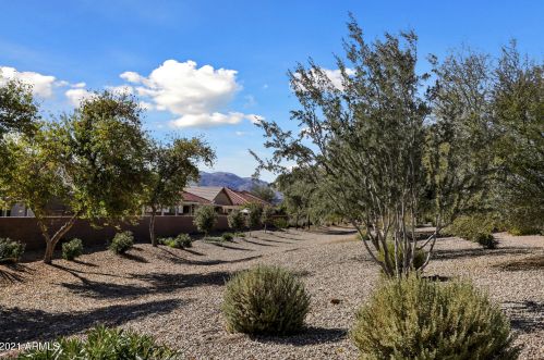 17965 Tierra Del Sol Dr, Sun City, AZ 85387-6406