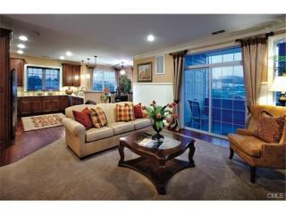 1036 Brookside Ct, Newtown, CT 06470