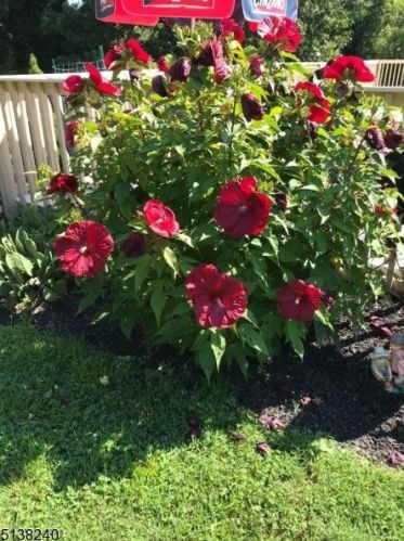 434 Buckhorn Dr, Belvidere NJ  07823-2707 exterior