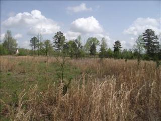 600 Chambers Store Rd, Michie, TN 38357-5320