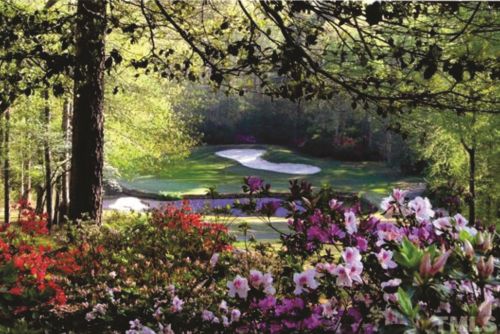 143 Traceway, Sanford NC  27332-8046 exterior