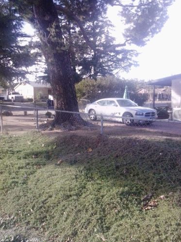 1002 Magnolia Ave, Beaumont CA  92223-1837 exterior