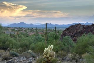 16410 113th Way, Scottsdale, AZ 85255-8979