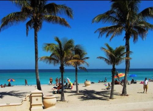 649 Sheridan St, Dania Beach FL  33004-4608 exterior